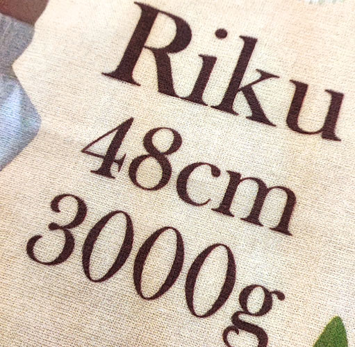 �¼�̵������ץ� ���󥯥����å� �������ߥ˥Х�������