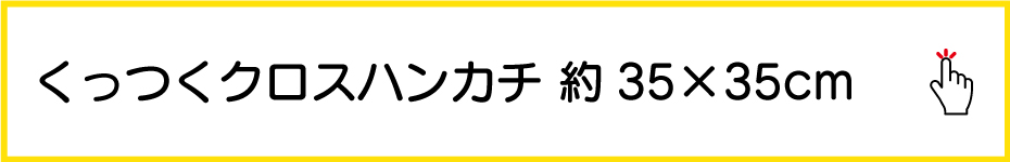äĤϥ󥫥Υ饹ȥ졼ƥץ졼