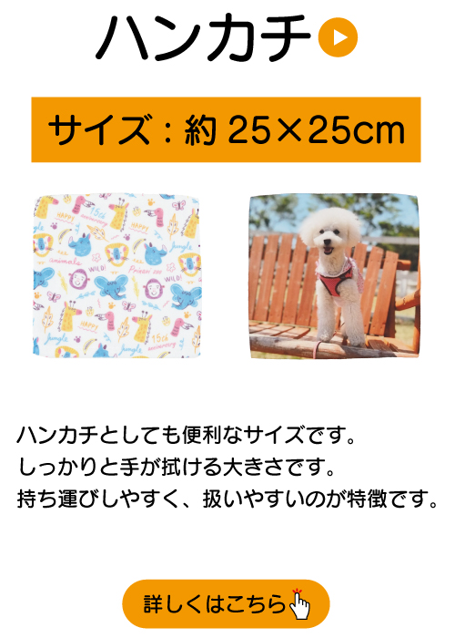 򤷤äȿ礭ǡʥΥϥ󥫥ǤӤ䤹Фޤ